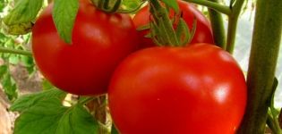 Penerangan mengenai varieti tomato Brother 2 f1, penanaman dan hasil