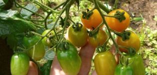 Description de la variété de tomate Cherry Lisa, ses caractéristiques et sa productivité