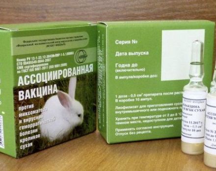 Instructions for the associated vaccine for rabbits and how to vaccinate