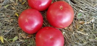 Características y descripción de la variedad de tomate Frambuesa anillada, su rendimiento.