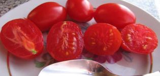 Description of the variety tomato Lollipop, features of cultivation and yield