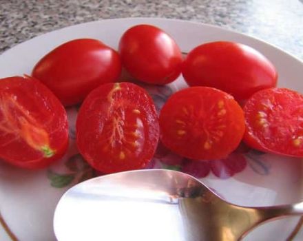 Description de la variété tomate Lollipop, caractéristiques de culture et rendement