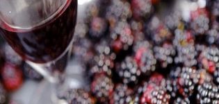 9 recettes simples pour faire du vin de mûre à la maison