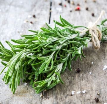 How you can keep rosemary fresh at home for the winter