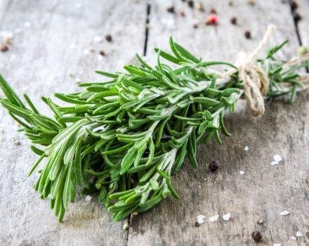 Comment garder le romarin frais à la maison pour l'hiver