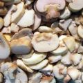 How can you freeze oyster mushrooms for the winter at home