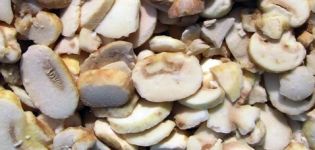 How can you freeze oyster mushrooms for the winter at home