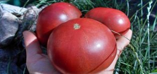 Description de la variété de tomate Carbon (Carbon), ses caractéristiques et sa culture