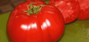 Descripción de la variedad de tomate Premier, características de cultivo y cuidado.