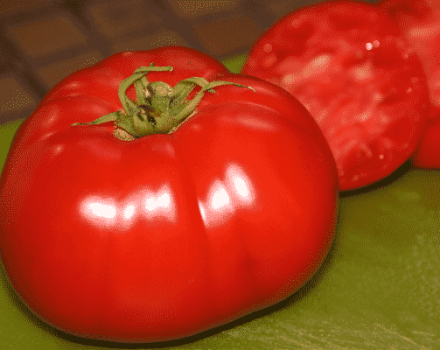 Descripción de la variedad de tomate Premier, características de cultivo y cuidado.