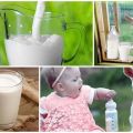 Los beneficios y perjuicios de la leche de cabra para el organismo, composición química y como elegir