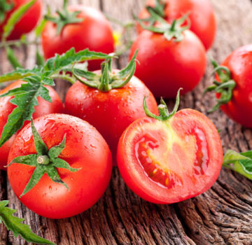 Las mejores y más productivas variedades de tomates para campo abierto e invernaderos en los Urales