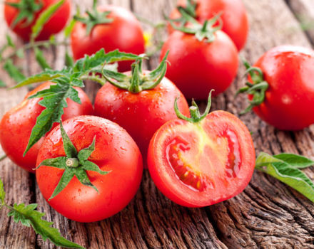 The best and most productive varieties of tomatoes for open ground and greenhouses in the Urals