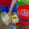 How to deal with the Colorado potato beetle folk remedies mustard and vinegar?