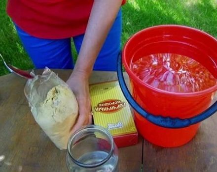 How to deal with the Colorado potato beetle folk remedies mustard and vinegar?