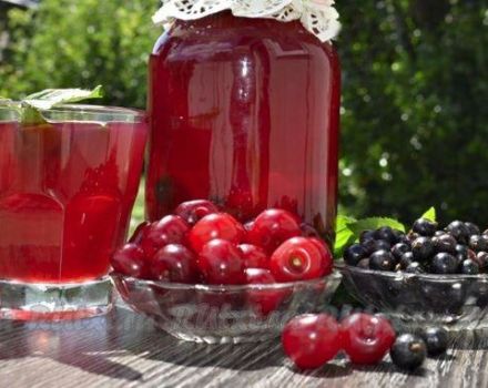 Recette étape par étape pour une délicieuse compote de cassis et de cerise pour l'hiver