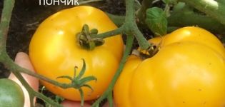 Characteristics and description of the tomato variety Sweet donut, its yield