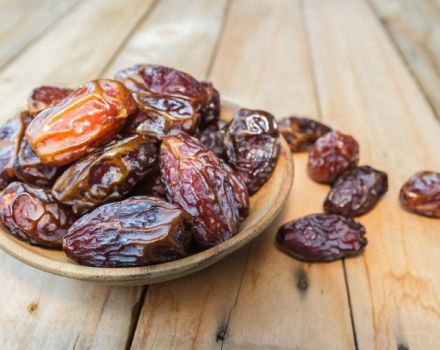 The benefits and harms of dates for the human body, rules of use and contraindications