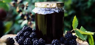 A simple recipe for making blackberry jam for the winter