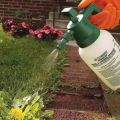 Instructions for the use of the herbicide Lontrel weed control