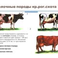 What factors affect milk production in cows and methods of determination