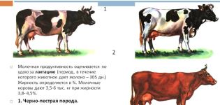 ¿Qué factores afectan la producción de leche en las vacas y métodos de determinación?