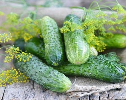 Characteristics and description of the variety of cucumbers Courage, their cultivation and formation