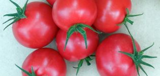 Caractéristiques et description de la variété de tomate Verlioka, son rendement et sa culture