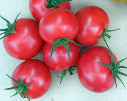 Caractéristiques et description de la variété de tomate Verlioka, son rendement et sa culture