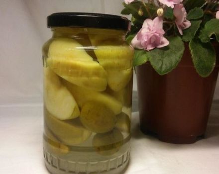 10 meilleures recettes étape par étape pour la compote de feijoa pour l'hiver