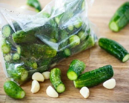 Instant recipes for crispy lightly salted cucumbers in a bag in 5 minutes