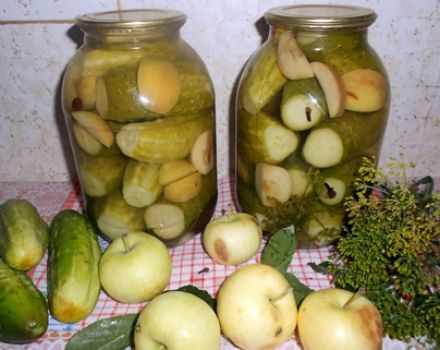 Recettes pour mariner les concombres avec des pommes pour l'hiver