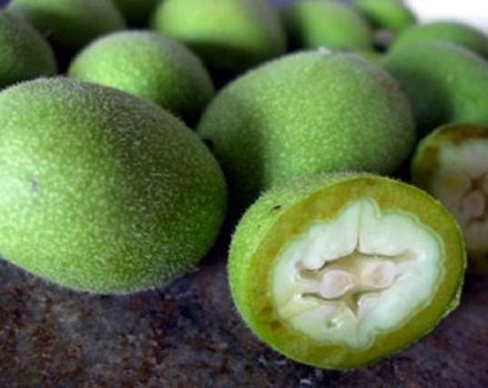 Kapan dan bagaimana mengumpulkan walnut hijau dengan betul, peraturan penyimpanan