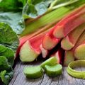 Useful properties of the rhubarb plant and its use, indications and contraindications