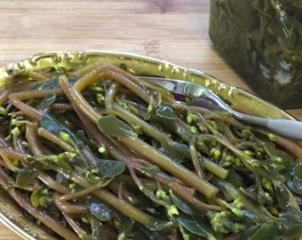 4 na mga sunud-sunod na mga recipe para sa marinated purslane sa Armenian para sa taglamig