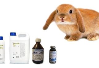 Quelles vitamines sont nécessaires pour les lapins et que contiennent-elles, TOP 6 des médicaments