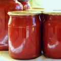 Recipes for ketchup with apples for the winter at home you will lick your fingers