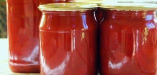 Recipes for ketchup with apples for the winter at home you will lick your fingers