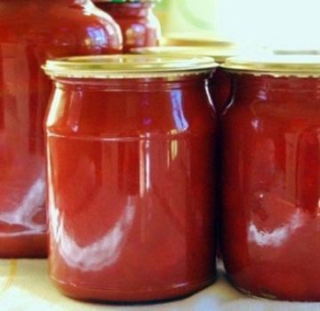 Recettes de ketchup aux pommes pour l'hiver à la maison, vous vous lècherez les doigts