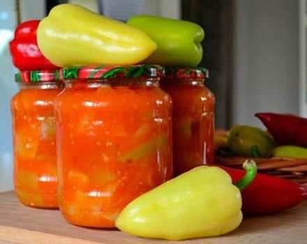 9 best step-by-step recipes for making pepper in tomato for the winter