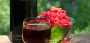 15 recettes de vin de framboise maison faciles étape par étape