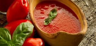 TOP 17 recetas de salsa de tomate en casa para el invierno