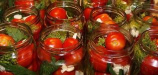 Pourquoi les tomates éclatent lorsqu'elles sont salées et comment résoudre le problème