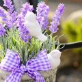 Propiedades útiles y contraindicaciones de la lavanda para el cuerpo, características de aplicación.