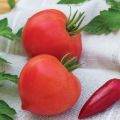 Characteristics and description of the tomato variety Donskoy f1