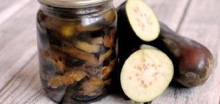 3 best recipes for cooking fried eggplant with garlic for the winter