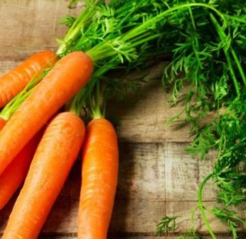 Pourquoi les carottes sont-elles bouclées et que faire, remèdes et méthodes populaires