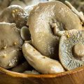 Simple recipes for salting milk mushrooms at home with hot and cold methods