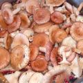 How to salt waves and milk mushrooms for the winter, is it possible to close them together