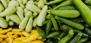 Une recette simple pour mettre des courgettes en conserve en ukrainien pour l'hiver